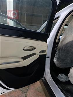 بي واي دي كوين L DM-i